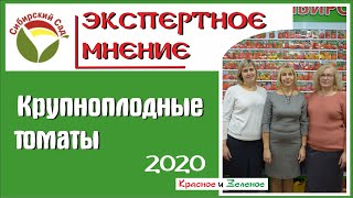 Крупноплодные томаты от Сибирского сада. Новинки и хиты