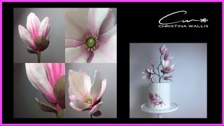 Магнолия из Сахарной Мастики МК / Как сделать Магнолию