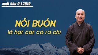 Vấn đáp hay : Nỗi buồn này là hạt cát có ra chi - Thầy Thích Pháp Hoà