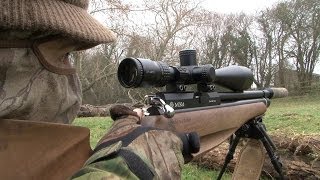 The Airgun Show -- rabbit hunting and the iconic Weihrauch HW77
