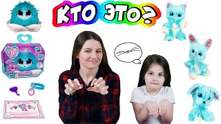 Пушистик потеряшка , Scruff a Luvs Кто наш новый питомец ?