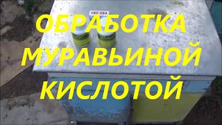 ?Обработка пчел кислотой? едрённая байда ?  Клеща нет??