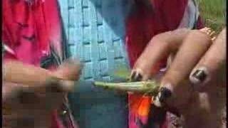 Most Amazing Thailand Asian Beautiful lovely Girl Eats Live Big Creepy Bugs