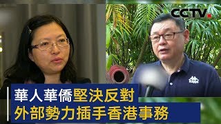华人华侨坚决反对外部势力插手香港事务 | CCTV