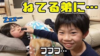 寝起きドッキリのハズが…?思わぬ展開でおかしな検証動画になる仲良し兄弟 brother4