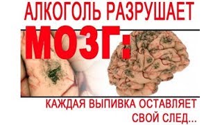 Вред алкоголя на организм человека для школьников и подростков