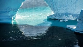 Thick Sea Ice and Lots of Polar Bears | Mini Ice Age 2015-2035 (377)