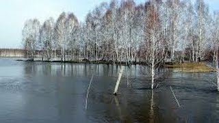 Разлив реки "Урал" весна 2015
