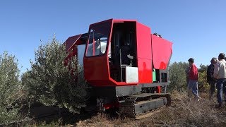 ΕΛΑΙΟΣΥΛΛΕΚΤΗΣ ΣΤΕΦΑΝΑΚΗΣ ΝΙΚΟΛΑΟΣ ΜΕΣΟΧΩΡΙΟ