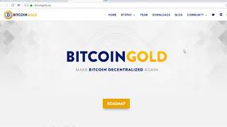 ✅ Криптовалюта Bitcoin Gold Скам или Ракета? Стоит ли купить Биткоин Голд