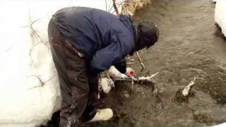 Life in the Alaska Bush  #10