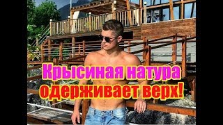 Из Гриценко прёт крысиная натура. Дом 2 новости и слухи