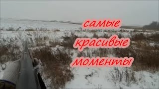 красивые моменты сезона 18-19г. по зайцу