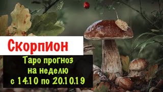 Скорпион _ гороскоп с 14.10 по 20.10.2019 _ недельный Таро прогноз