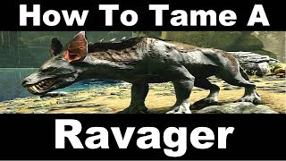 How To Tame A Ravager - ARK: Aberration