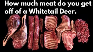 How much meat will you get off of a Whitetail Deer. By the Bearded Butchers!
