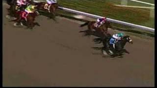 Zenyatta: Race 1, Maiden Special Weight 11/22/2007