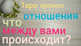 Таро прогноз ЧТО МЕЖДУ ВАМИ ПРОИСХОДИТ? ОТНОШЕНИЯ Онлайн гадание на картах Таро asmr видео Hygge