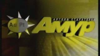 Артель старателей Амур