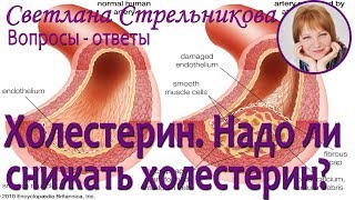 Светлана Стрельникова Холестерин/ Надо ли снижать холестерин?