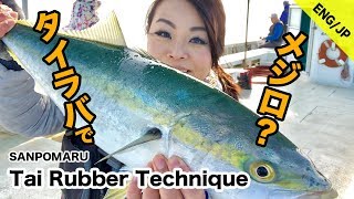 How to do Tai Rubber Fishing ! タイラバの釣り方！デカい魚も釣れました！(Eng/Jp Sub)