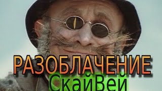 Разоблачение СкайВей, где строить испытательный полигон?  Нормальная скорость