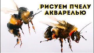Как нарисовать пчелу акварелью — kalachevaschool.ru — Поэтапный урок с Аней Чайниковой