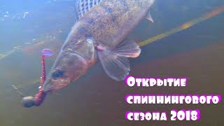 Выбрались на Днепр! Ловим ЩУКУ а клюют СОМЫ с СУДАКАМИ! Удачное открытие спиннингового сезона 2018!