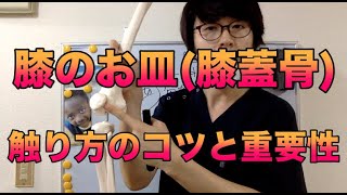 【膝蓋骨】膝のお皿の触り方のコツと重要性