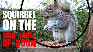 A Squirrel on the Bird Table of Doom