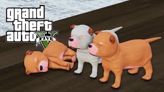 GTA 5 MOD VITA REALE #37 - LILLI HA AVUTO DEI CUCCIOLI!