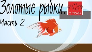 Золотые рыбки  Условия содержания, уход и кормление