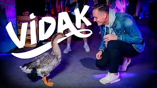 Afterparty фестиваля видеоблогеров Видак 2018
