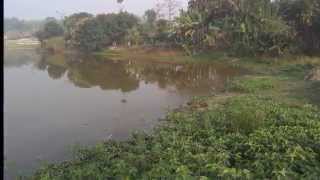 Village Darbhanga India.
