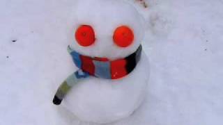 CNN/YouTube Debate: Global Warming