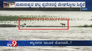 Karnataka Flood: Malaprabha River Overflow And Bridges Inundated