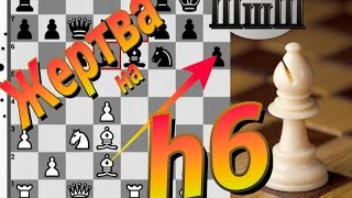 Уроки шахмат. Жертва слона на h6. Типовая комбинация. Изолятор. Атака на короля