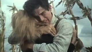 Flatt & Scruggs 　映画「俺たちに明日はない」　Foggy Mountain Breakdown