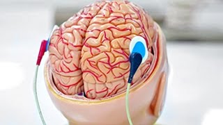 10 СПОСОБОВ СТАТЬ УМНЕЕ