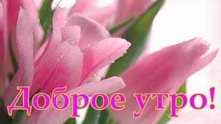 *** ?? ДОБРОЕ УТРО! ?? *** КРАСИВАЯ ВИДЕО-ОТКРЫТКА ☕***
