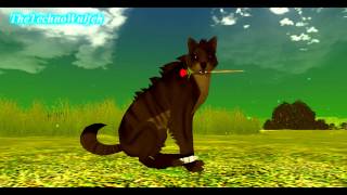 FeralHeart ~ Sexy, Naughty, Bitchy Me