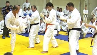 Nishimura sensei_kumite drills