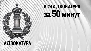 Вся адвокатура за 50 минут