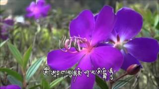 འབའ་རོམ་པ།