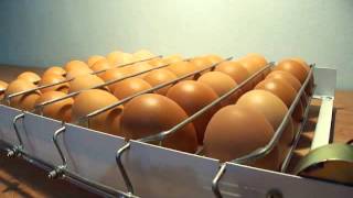 egg turner