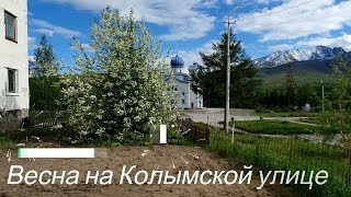 Синегорье(06/06/2019)#синегорье#колыма