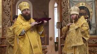 Владыка Игнатий. Слово к визиту владыки Саввы