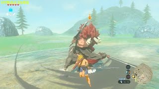 Zelda - Breath of the Wild | How to kill a Lynel while Naked !