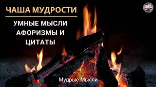 Умные Мысли! Цитаты и Афоризмы! Чаша Мудрости!