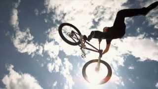 DAVO High Like This